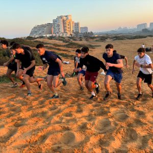 מחשבון סימולציה לגיבושים
